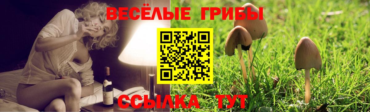 Псилоцибиновые грибы ЛСД  Вход с VPN  Пенза  Псилоцибиновые грибы Psilocybine cubensis 